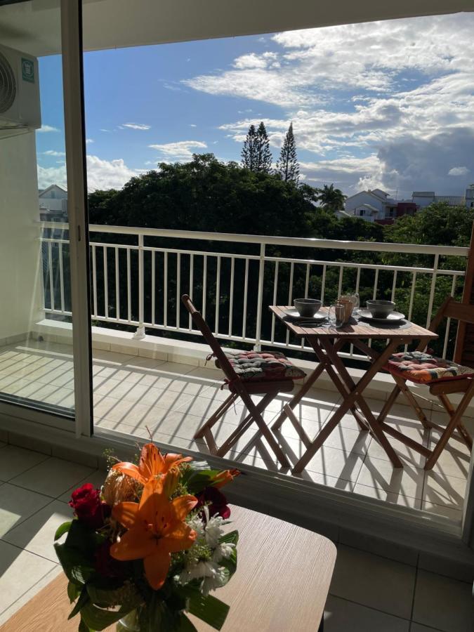 סן-פייר Appartement Lumineux Renove A Neuf מראה חיצוני תמונה