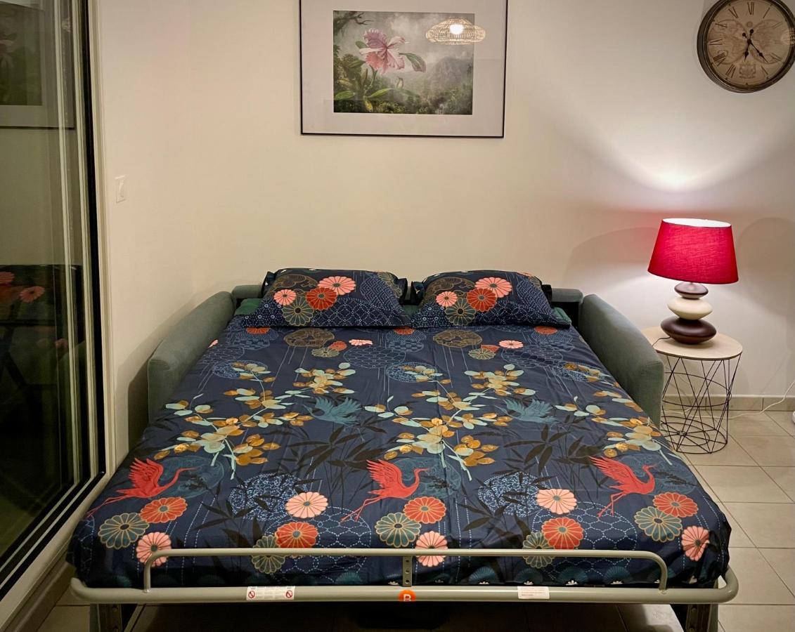 סן-פייר Appartement Lumineux Renove A Neuf מראה חיצוני תמונה